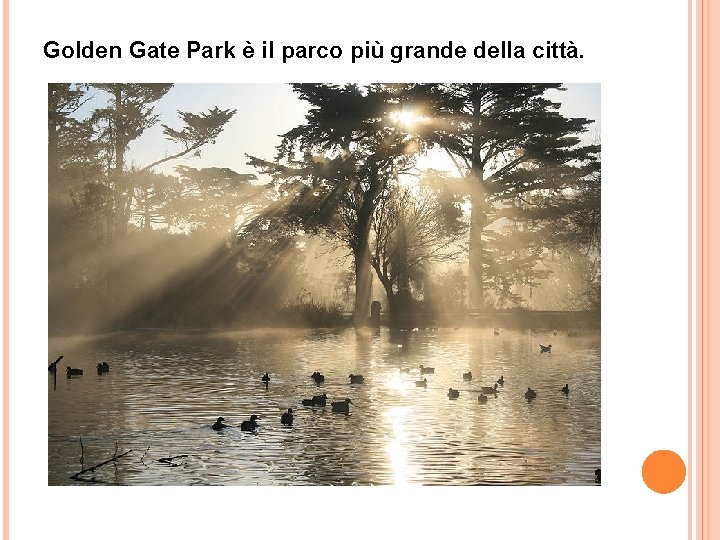 Golden Gate Park è il parco più grande della città. 