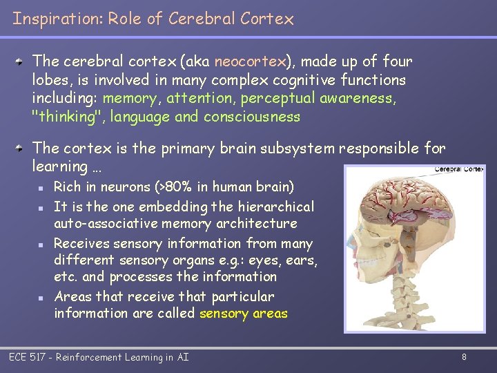 Inspiration: Role of Cerebral Cortex The cerebral cortex (aka neocortex), made up of four
