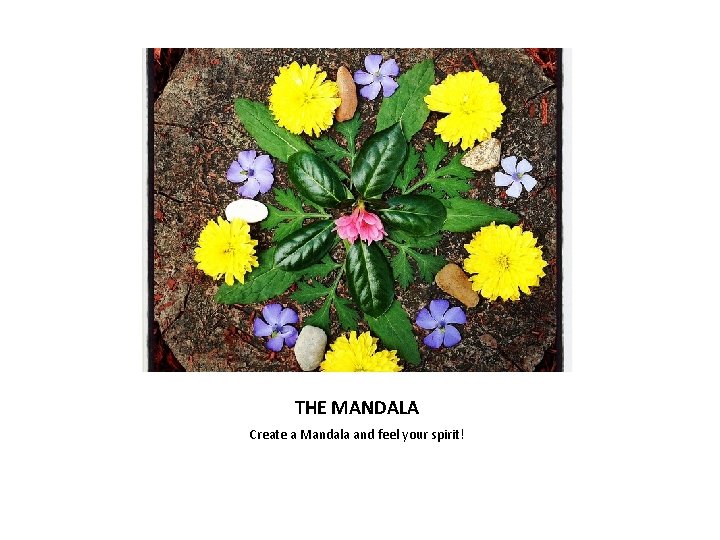 THE MANDALA Create a Mandala and feel your spirit! 