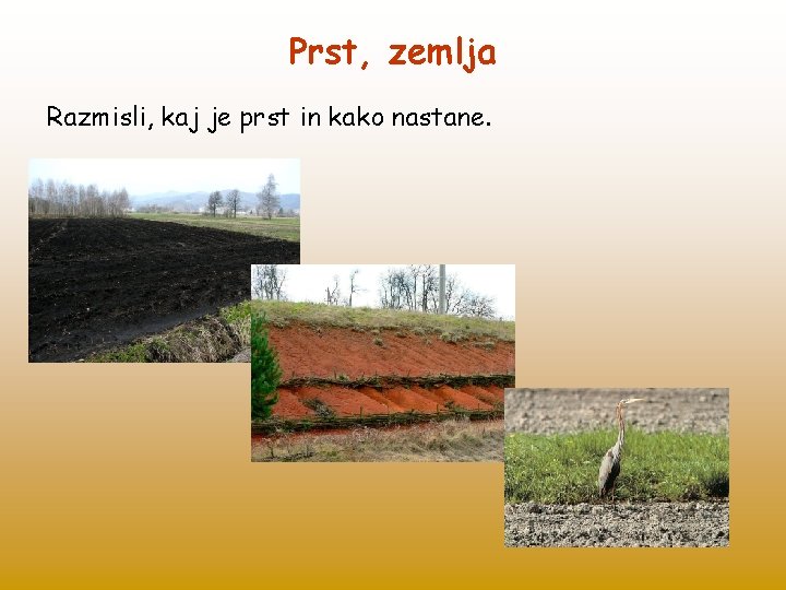 Prst, zemlja Razmisli, kaj je prst in kako nastane. 