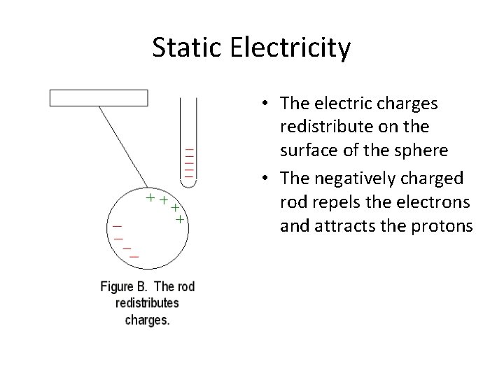 Static Electricity • The electric charges redistribute on the surface of the sphere •