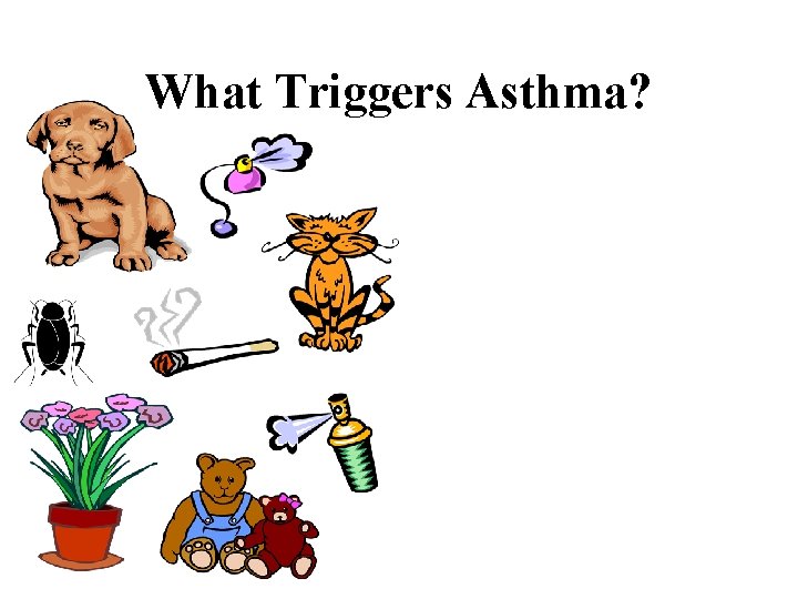 What Triggers Asthma? 