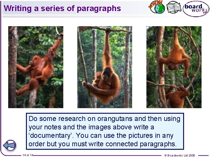 Writing a series of paragraphs Do some research on orangutans and then using your