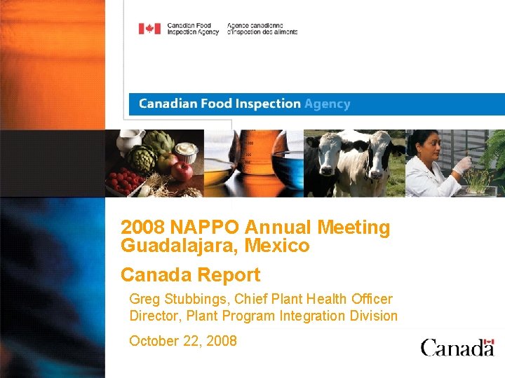 2008 NAPPO Annual Meeting Guadalajara, Mexico Canada Report Greg Stubbings, Chief Plant Health Officer