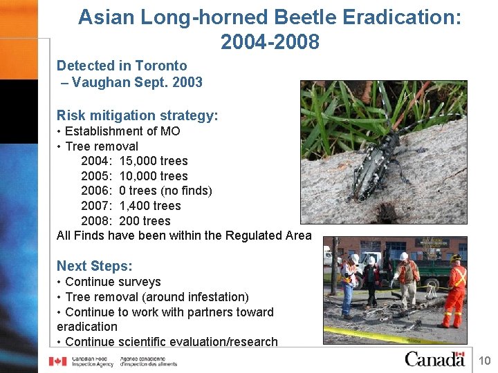 Asian Long-horned Beetle Eradication: 2004 -2008 Detected in Toronto – Vaughan Sept. 2003 Risk