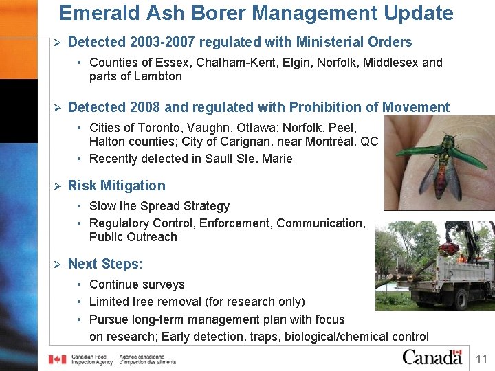 Emerald Ash Borer Management Update Ø Detected 2003 -2007 regulated with Ministerial Orders •