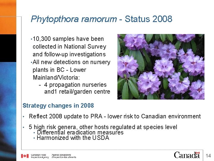 Phytopthora ramorum - Status 2008 • 10, 300 samples have been collected in National