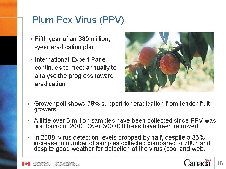Plum Pox Virus (PPV) • Fifth year of an $85 million, 7 -year eradication
