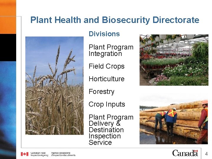 Plant Health and Biosecurity Directorate Divisions Plant Program Integration Field Crops Horticulture Forestry Crop