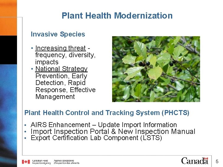 Plant Health Modernization Invasive Species • Increasing threat frequency, diversity, impacts • National Strategy
