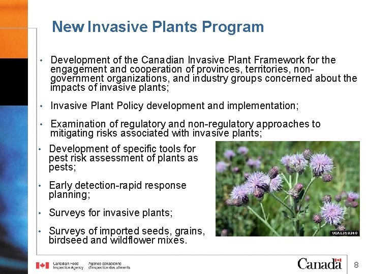 New Invasive Plants Program • Development of the Canadian Invasive Plant Framework for the