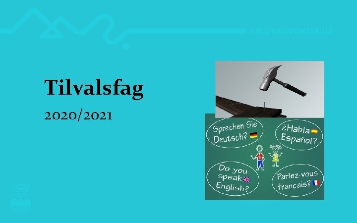 Tilvalsfag 2020/2021 