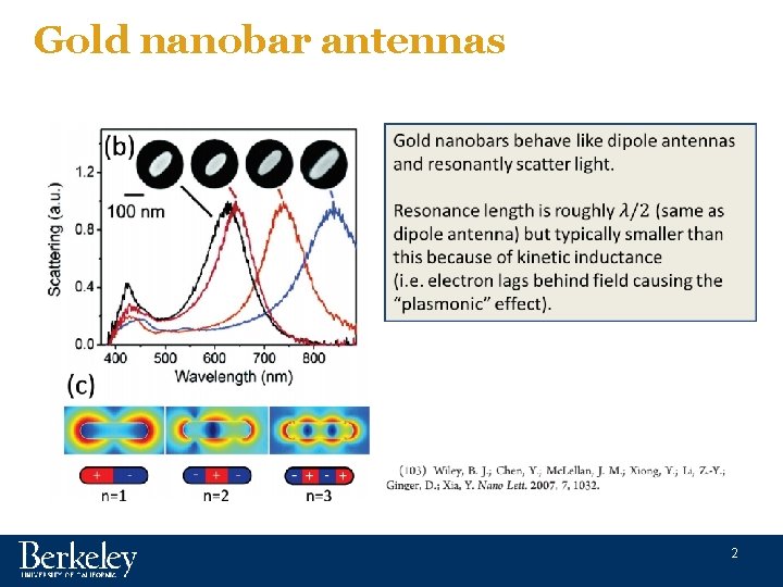 Gold nanobar antennas 2 