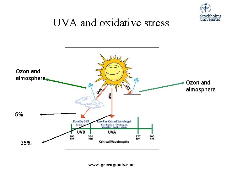UVA and oxidative stress Ozon and atmosphere 5% 95% www. greengoods. com 
