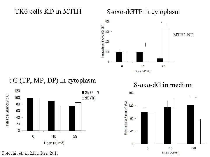 TK 6 cells KD in MTH 1 8 -oxo-d. GTP in cytoplasm MTH 1