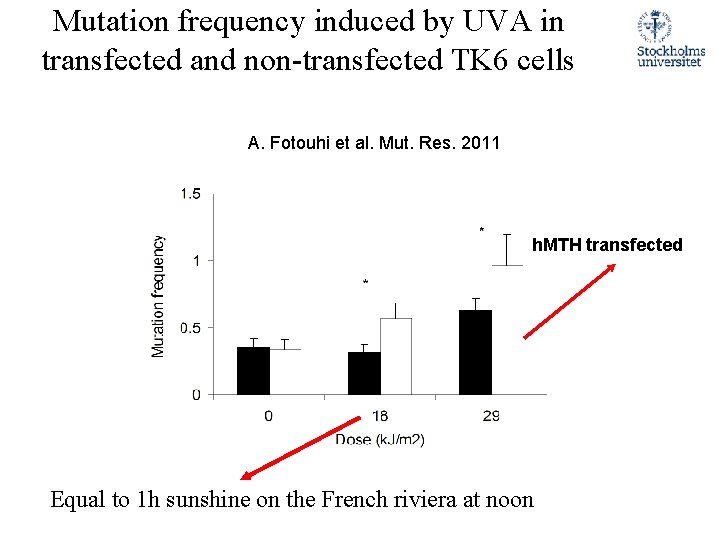 Mutation frequency induced by UVA in transfected and non-transfected TK 6 cells A. Fotouhi