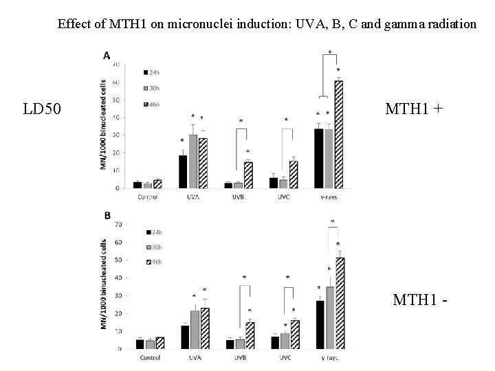 Effect of MTH 1 on micronuclei induction: UVA, B, C and gamma radiation LD