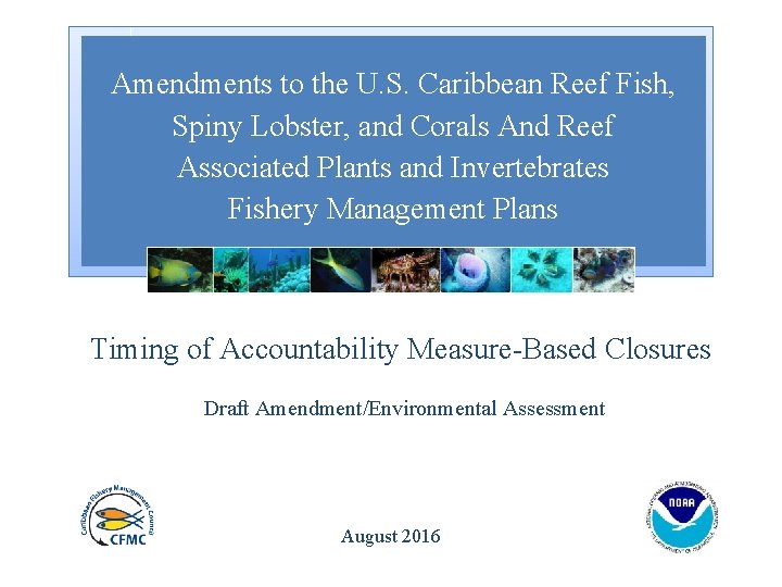 Amendments to the U. S. Caribbean Reef Fish, Spiny Lobster, and Corals And Reef