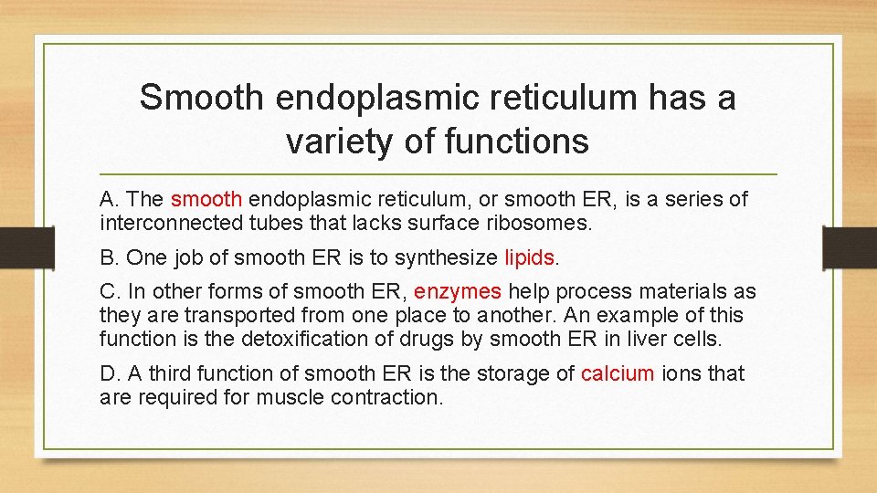 Smooth endoplasmic reticulum has a variety of functions A. The smooth endoplasmic reticulum, or