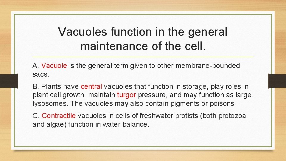 Vacuoles function in the general maintenance of the cell. A. Vacuole is the general