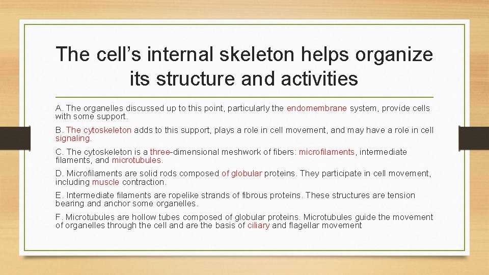The cell’s internal skeleton helps organize its structure and activities A. The organelles discussed