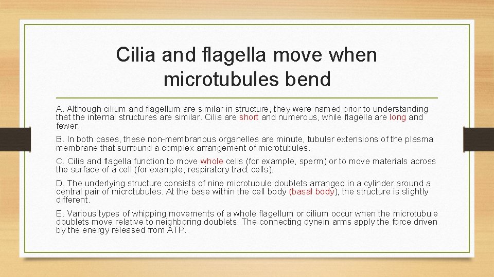 Cilia and flagella move when microtubules bend A. Although cilium and flagellum are similar