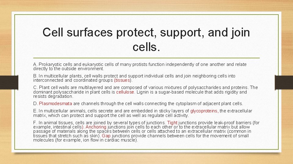 Cell surfaces protect, support, and join cells. A. Prokaryotic cells and eukaryotic cells of