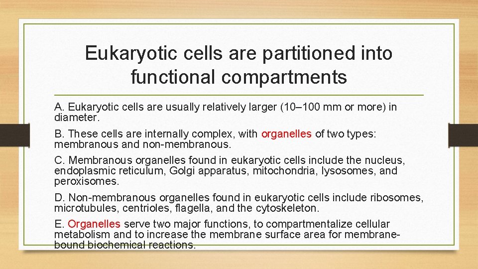 Eukaryotic cells are partitioned into functional compartments A. Eukaryotic cells are usually relatively larger