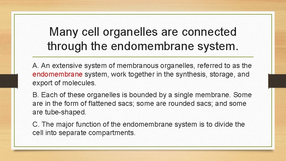 Many cell organelles are connected through the endomembrane system. A. An extensive system of