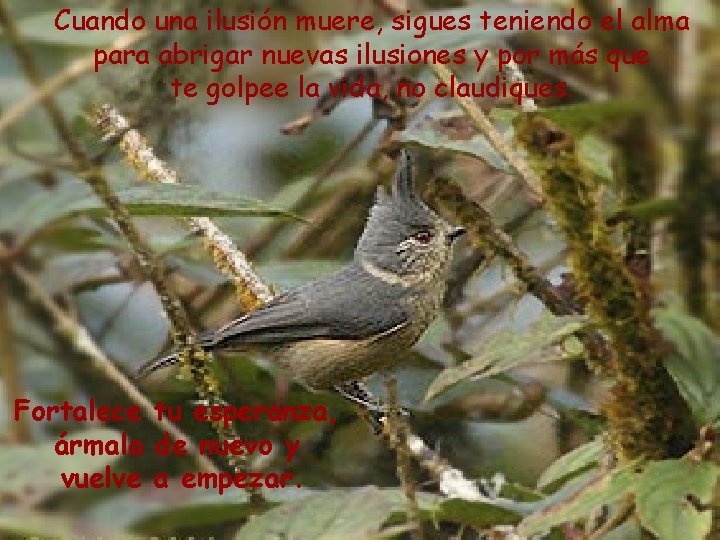 Cuando una ilusión muere, sigues teniendo el alma para abrigar nuevas ilusiones y por