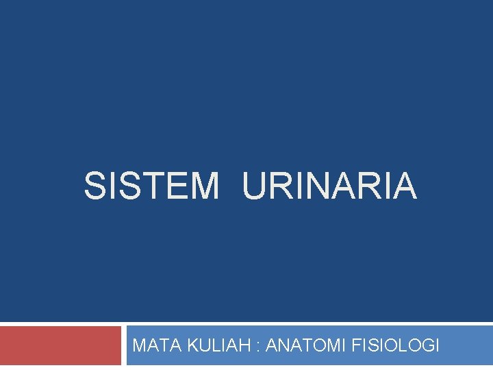 SISTEM URINARIA MATA KULIAH : ANATOMI FISIOLOGI 