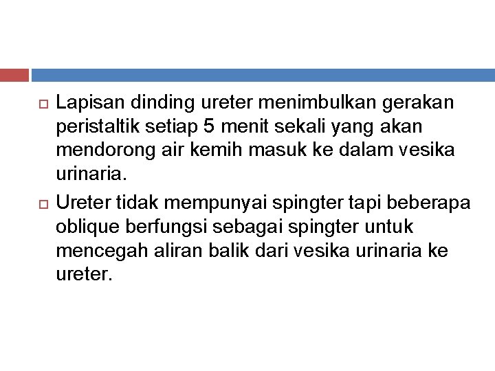  Lapisan dinding ureter menimbulkan gerakan peristaltik setiap 5 menit sekali yang akan mendorong