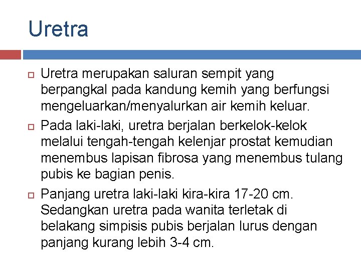 Uretra Uretra merupakan saluran sempit yang berpangkal pada kandung kemih yang berfungsi mengeluarkan/menyalurkan air