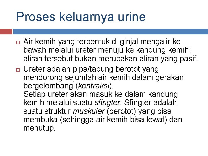 Proses keluarnya urine Air kemih yang terbentuk di ginjal mengalir ke bawah melalui ureter Proses keluarnya urine Air kemih yang terbentuk di ginjal mengalir ke bawah melalui ureter