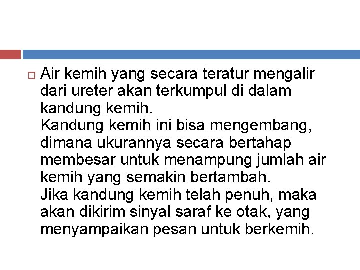  Air kemih yang secara teratur mengalir dari ureter akan terkumpul di dalam kandung