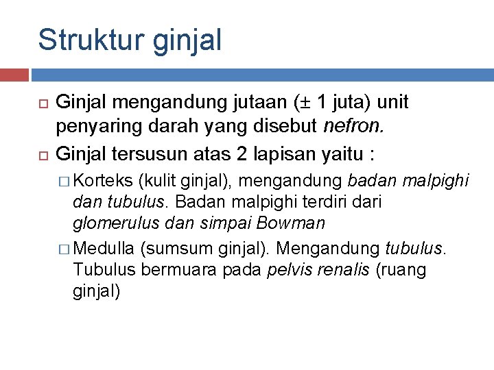 Struktur ginjal Ginjal mengandung jutaan (± 1 juta) unit penyaring darah yang disebut nefron.