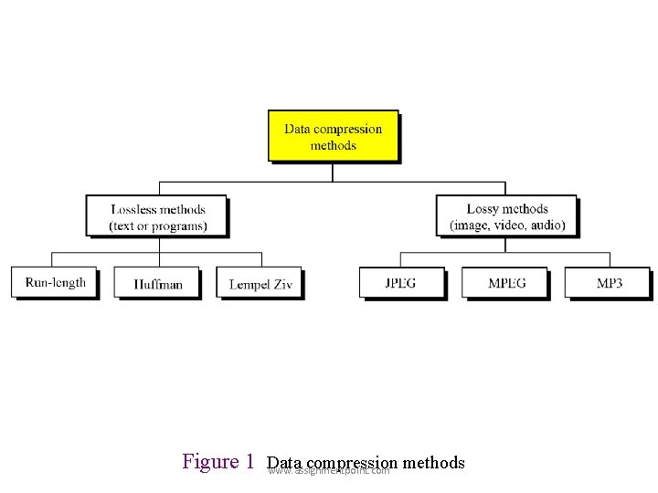 Figure 1 Data compression methods www. assignmentpoint. com Figure 1 Data compression methods www. assignmentpoint. com