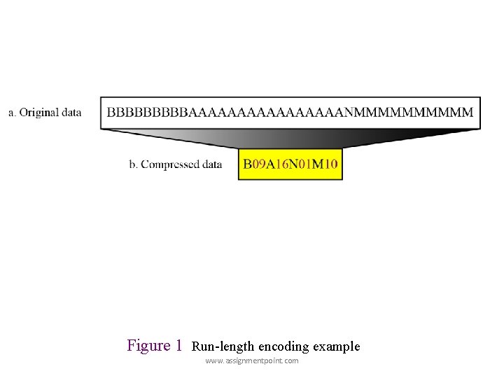 Figure 1 Run-length encoding example www. assignmentpoint. com Figure 1 Run-length encoding example www. assignmentpoint. com