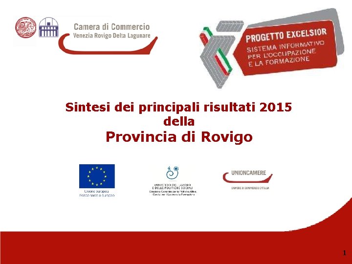 Sintesi dei principali risultati 2015 della Provincia di Rovigo 1 