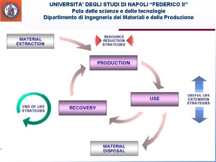 UNIVERSITA’ DEGLI STUDI DI NAPOLI “FEDERICO II” Polo delle scienze e delle tecnologie Dipartimento