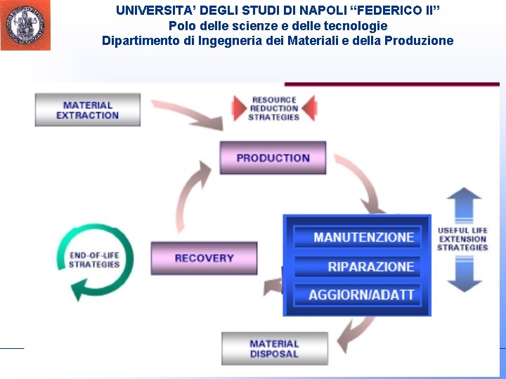 UNIVERSITA’ DEGLI STUDI DI NAPOLI “FEDERICO II” Polo delle scienze e delle tecnologie Dipartimento