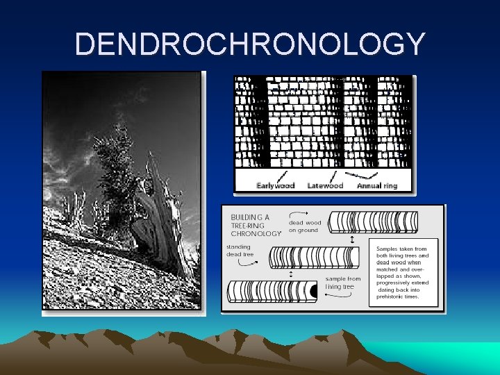 DENDROCHRONOLOGY 