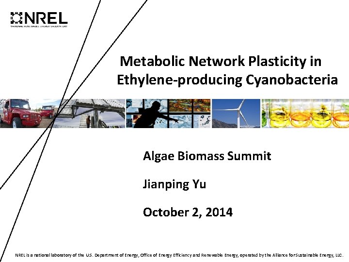 Metabolic Network Plasticity in Ethylene-producing Cyanobacteria Algae Biomass Summit Jianping Yu October 2, 2014