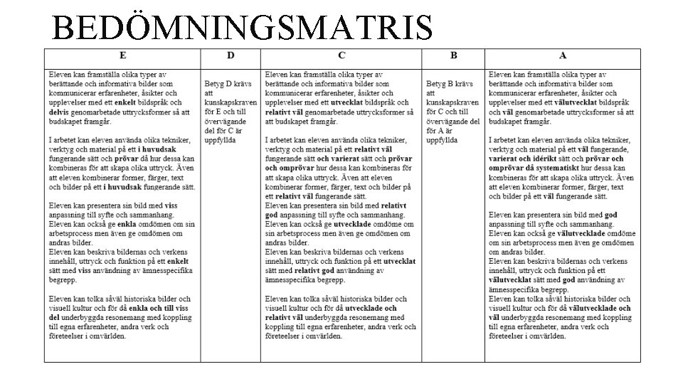 BEDÖMNINGSMATRIS 