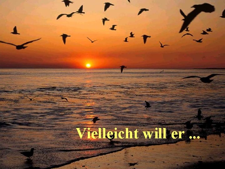 Vielleicht will er. . . 