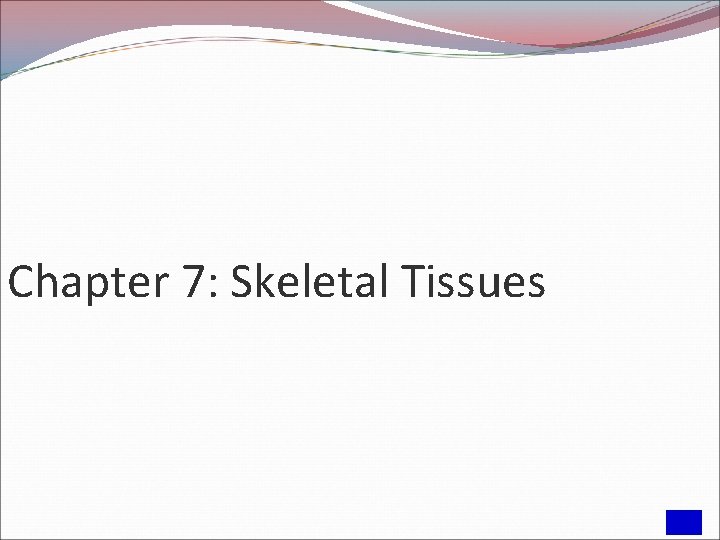 Chapter 7: Skeletal Tissues 