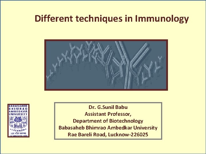 Different techniques in Immunology Dr. G. Sunil Babu Assistant Professor, Department of Biotechnology Babasaheb