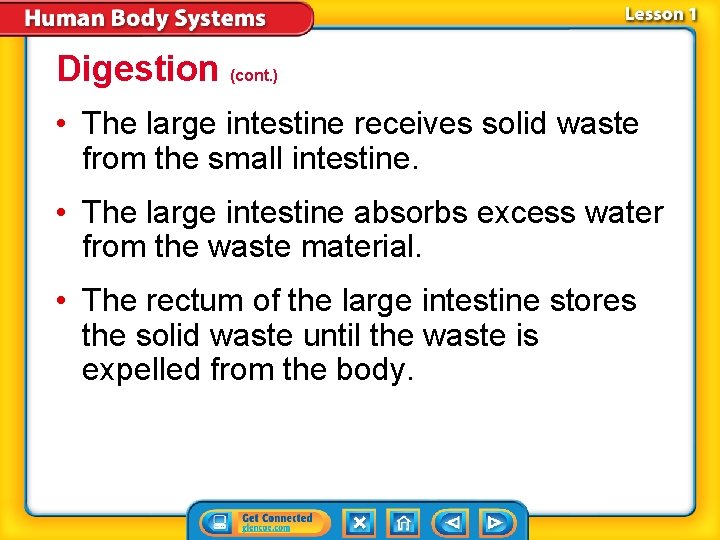 Digestion (cont. ) • The large intestine receives solid waste from the small intestine.