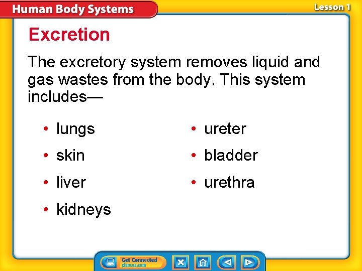 Excretion The excretory system removes liquid and gas wastes from the body. This system
