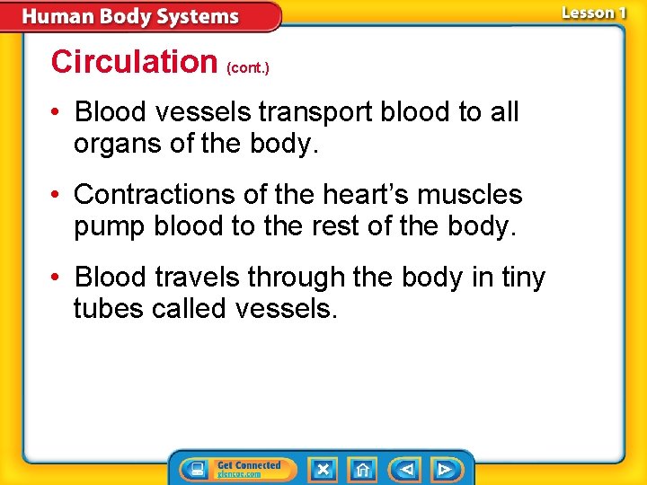 Circulation (cont. ) • Blood vessels transport blood to all organs of the body.